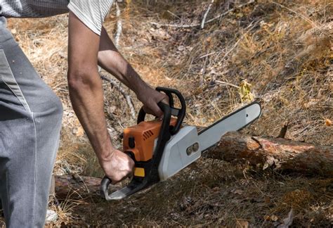 Chainsaw Chaps, 25 Things You Should Know – Garden Tool Expert Store