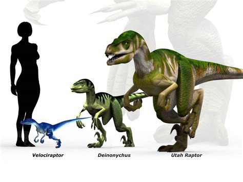 File:Raptor scale.jpg - Wikimedia Commons