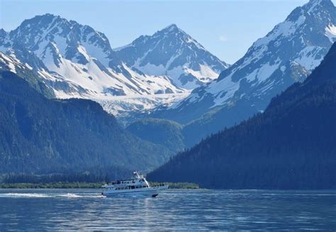 Seward Kenai Fjords 4 Hour Wildlife Cruise | Alaska Shore Excursions