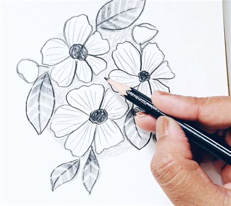 Flowers Drawing with Pencil Shading: A Comprehensive Guide