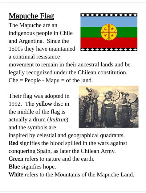 Mapuche flag raised for November : r/vexillology