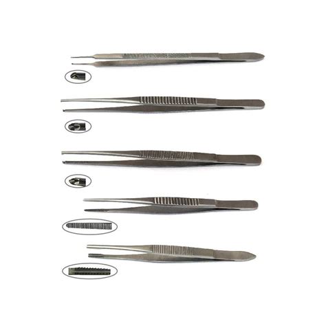 Dissecting Forceps at best price in Bengaluru by Magnum Surgicals | ID ...