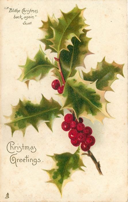 an old fashioned christmas card with holly leaves and berries