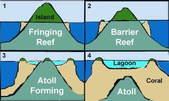 Coral Reef: Fringing Reef, Barrier Reef & Atoll | PMF IAS