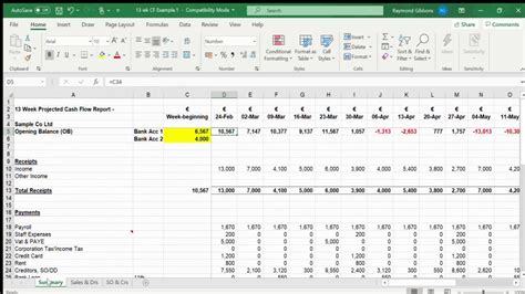 13 Week Cash Flow Forecast Template Excel Free - Printable Word Searches