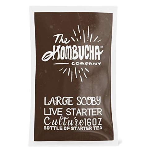 The Kombucha Company Large Scoby Starter Kit – 16 oz Bottle ...