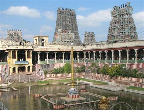 Golden lotus pond - Madurai