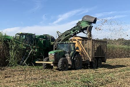 Sugar Cane Harvesting | CH950 Sugar Cane Harvester | John Deere US