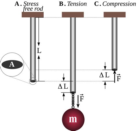 Young's modulus is a measure of the stiffness of a material. It is ...