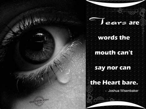 Tears Of Sadness And Loss Quotes. QuotesGram