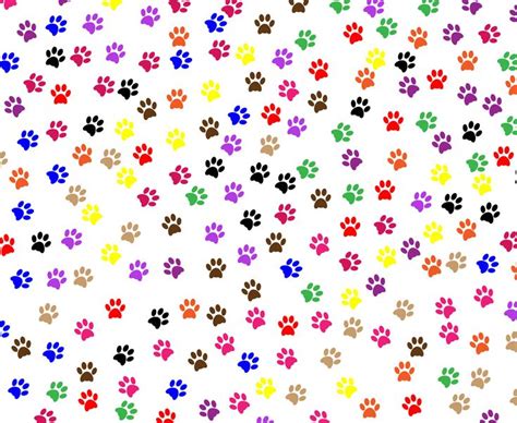 Paw Prints Background Free Stock Photo - Public Domain Pictures | Paw ...