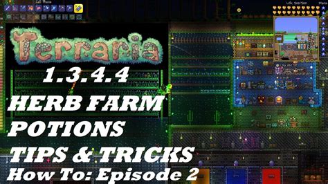 Terraria 1.3.4.4 HOW TO | Build an Efficient HERB FARM + TIPS & POTIONS ...