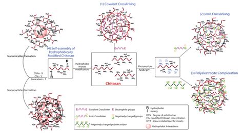 Crosslinked Chitosan Nanoparticles for Drug Delivery Applications