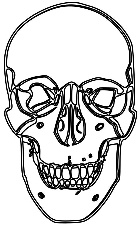 Free Skull Line Art, Download Free Skull Line Art png images, Free ...