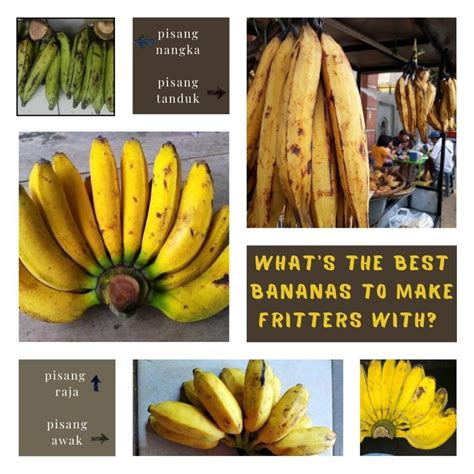 Which Banana Varieties Are Suitable for Banana Fritters? - Delishably