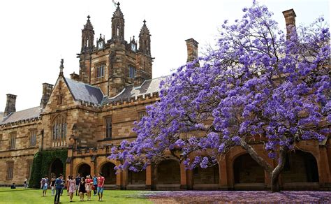 University of Sydney excels in latest QS Rankings - The University of ...