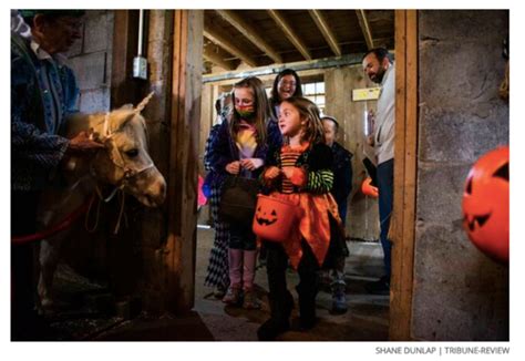 FAMILY HALLOWEEN FESTIVAL| Bella Terra Stables