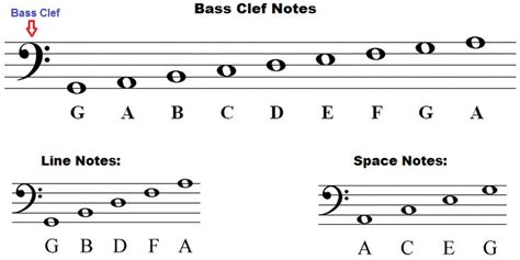 notes labeled on staff base clef - Google Search #learntoplaypiano ...