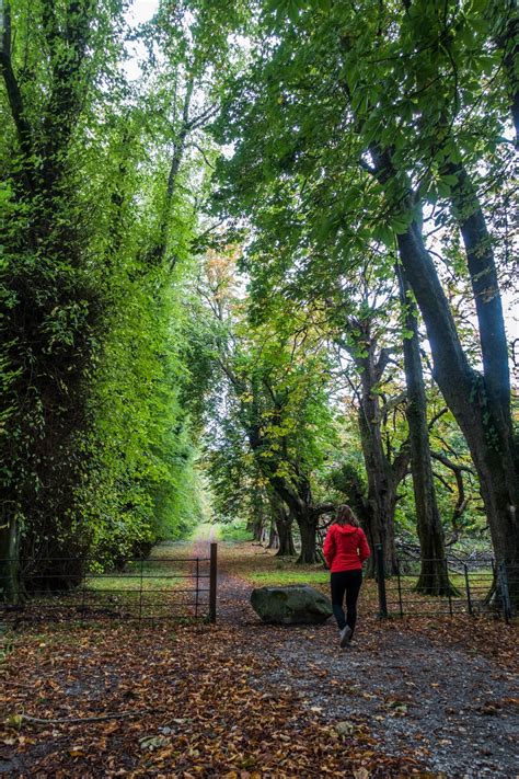 Hiking Killarney National Park with Ireland Walk Hike Bike - Wandering ...