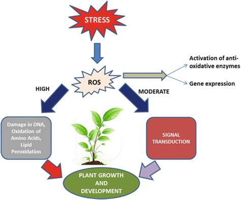 Developing Stress-Tolerant Plants by Manipulating Components Involved ...