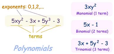 Definition of Monomial