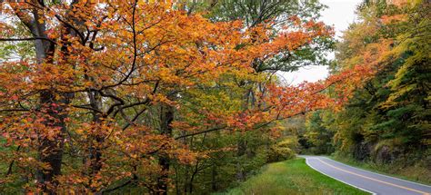 Visit Shenandoah Valley - 10 Perfect Places to See Fall Foliage in the ...