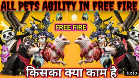 Free fire all pet ability full details | free fire pet ability details ...