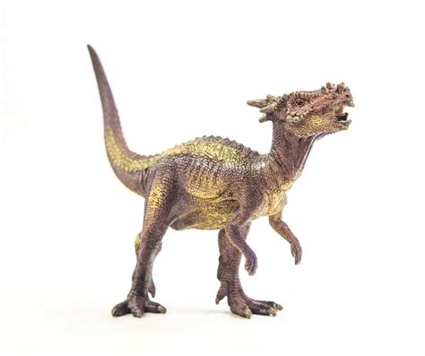 Fun Dracorex Dinosaur Facts for Kids