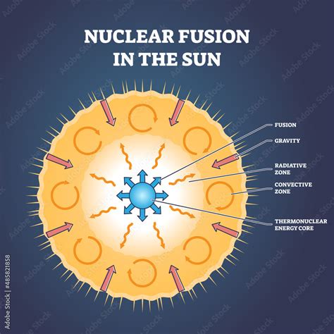 Vettoriale Stock Nuclear fusion in sun and star structure with zones ...