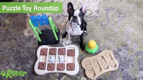 The Best Dog Puzzle Toys, Reviewed by a Dog [Video] | The Dog People by ...