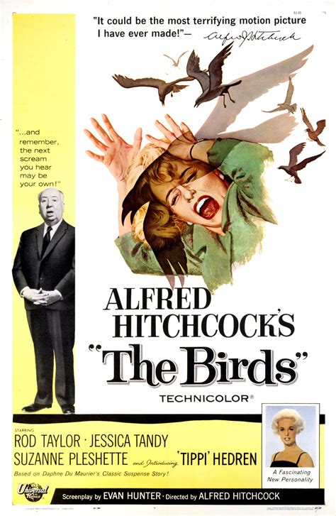 The Birds (film) - Wikipedia