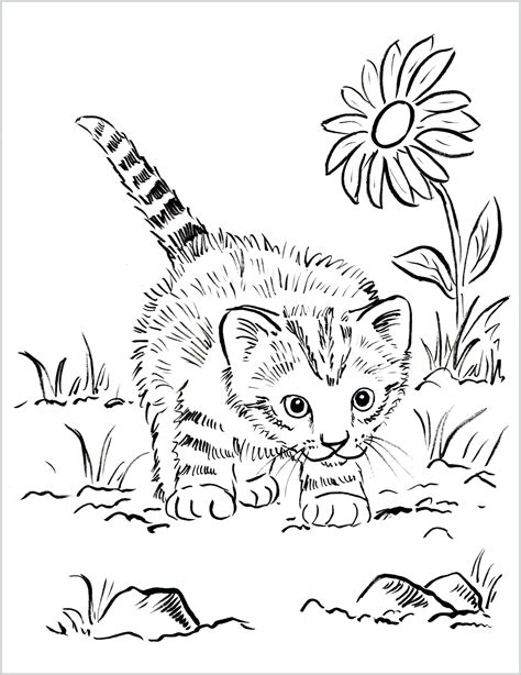 41+ Cute Coloring Pages Kittens