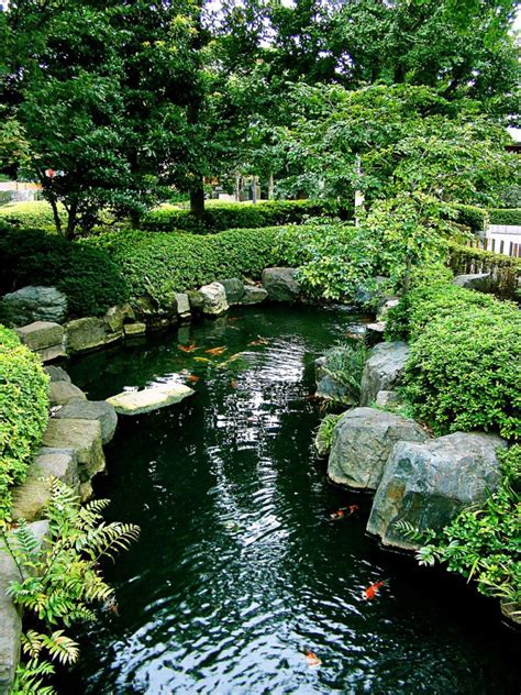 How To Build A Backyard Koi Pond | The Garden and Patio Home Guide