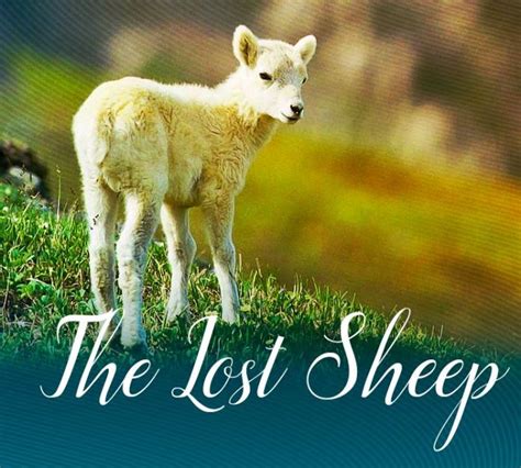 The Powerful Parables Of Jesus: The Parable Of The Lost Sheep | Osprey ...