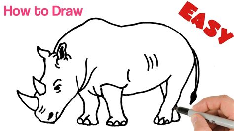 How to Draw Rhino ( Rhinoceros ) Easy Step by Step | Animals drawing ...