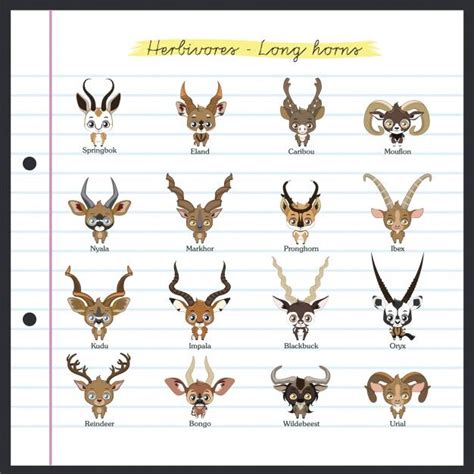 the different types of deer heads are shown on lined paper, with text ...