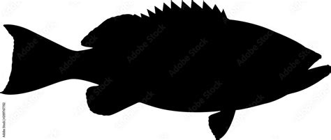 Yellowfin Grouper Fish Silhouette Vector Stock Vector | Adobe Stock