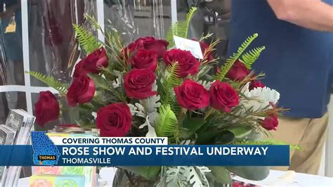 Thomasville Rose Show and Festival underway for 102nd year - YouTube