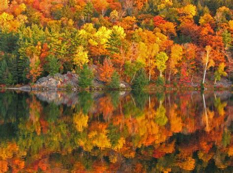 The Best Places to See Fall Foliage in New Hampshire's Lakes Region