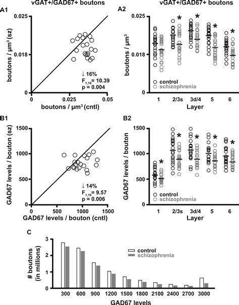 Markedly Lower Glutamic Acid Decarboxylase 67 Protein Levels in a ...