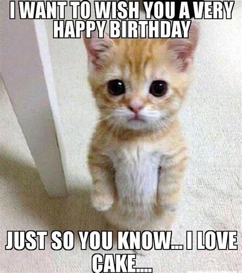 Image result for cat birthday meme | Happy birthday cat, Cat birthday ...