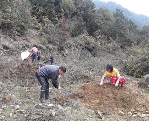 Voluntarily works at Gasa Dzongkhag | ROYAL GOVERNMENT OF BHUTAN