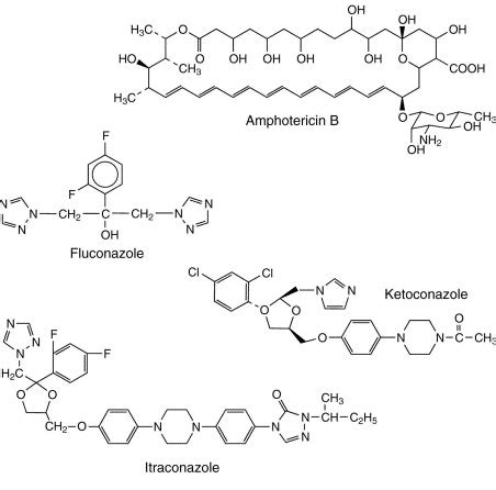 Molecular basis of resistance to azole antifungals: Trends in Molecular ...