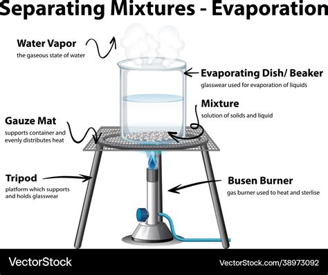 Diagram showing evaporation separating mixtures Vector Image