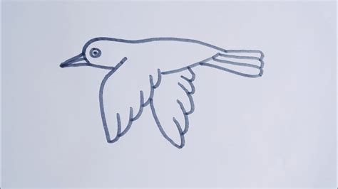 Flying Crow Outline