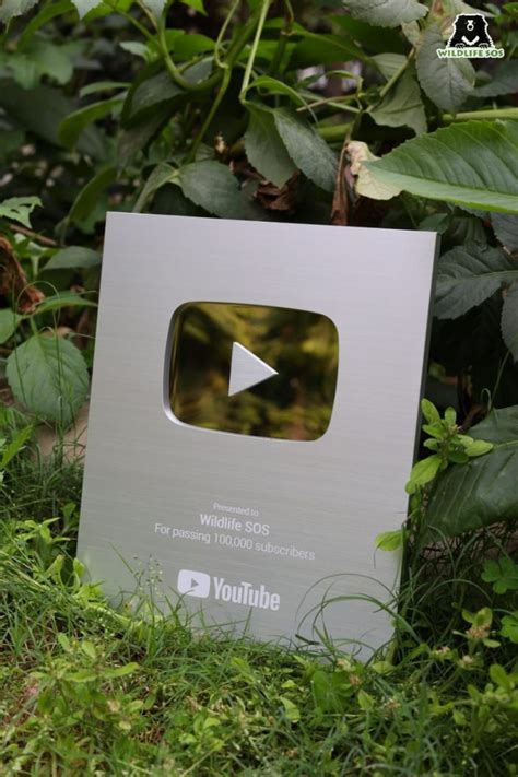 Wildlife SOS Receives Silver Button from YouTube For 100K+ Subscribers ...