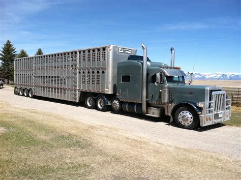 Now that's how you haul livestock. | Trucks | Pinterest | Peterbilt 379 ...