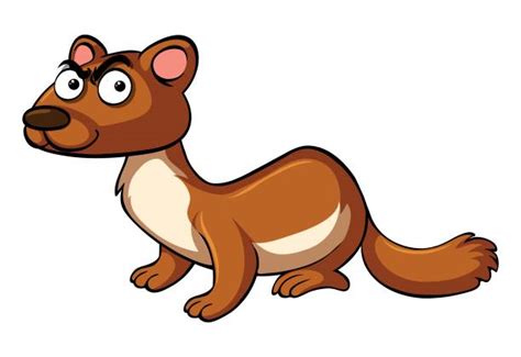 Weasel Clipart | Free download on ClipArtMag