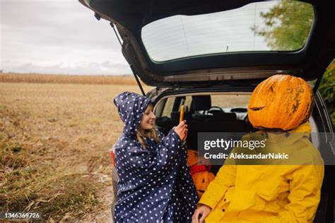 391 Pumpkins Car Stock Photos, High-Res Pictures, and Images - Getty Images