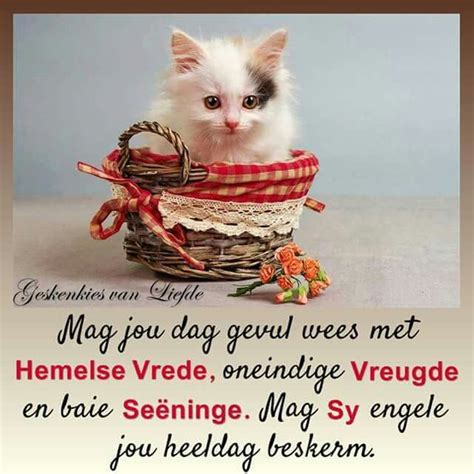 7 best GENIET JOU DAG images on Pinterest | Afrikaanse quotes, Goeie ...